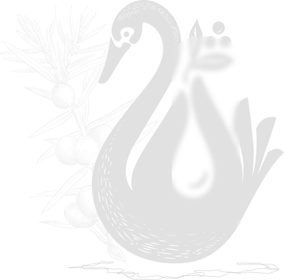 Welcome Background Image
